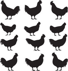 set of chicken silhouettes