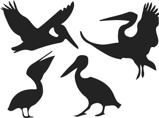 pelican silhouettes vector illustrations set in different poses Black Vector Illustration of Coastal Birds
