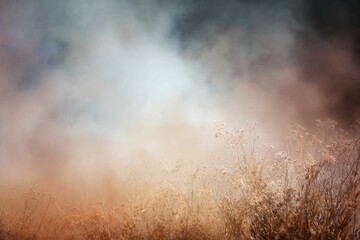 Misty Field: Golden Grass in a Dreamlike Haze