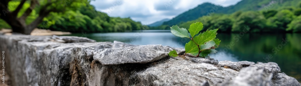 Aufkleber scenic view of lake in pine forest under peaceful nature concept. a serene view of a river framed by