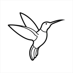 vector illustration of a hummingbird