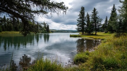 Obraz premium Scenic view of lake in pine forest under cloudy blue sky concept. Serene lake surrounded by lush trees and cloudy skies.