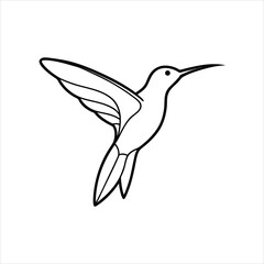 vector illustration of a hummingbird