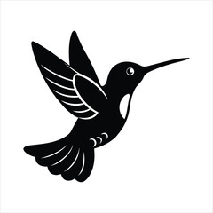 vector illustration of a hummingbird