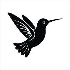 vector illustration of a hummingbird