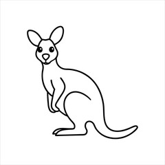 kangaroo vector illustration