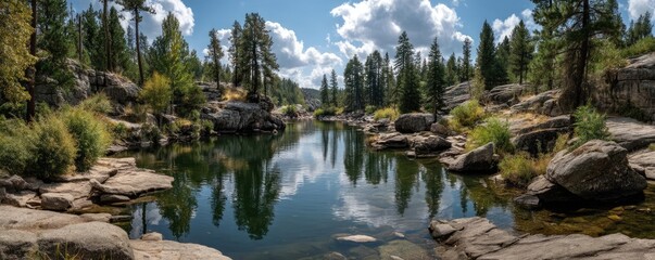 Scenic view of lake in pine forest with rock and trees concept. Serene river surrounded by rocky shores and lush greenery.