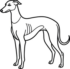  greyhound dog outline icon vector on transparent background