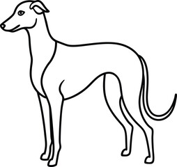  greyhound dog outline icon vector on transparent background