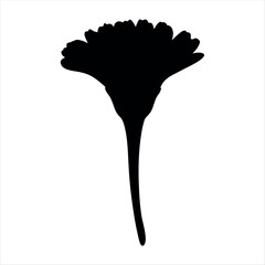 Silhouette of a beautiful flower with a long elegant stem design