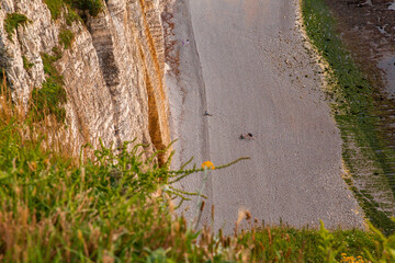 Tall cliffs rise above the pebbled beach of Etretat, where houses can be seen along the coastline. Small boats are visible on the tranquil water below.
