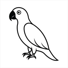 vector illustration of a parrot