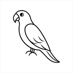 vector illustration of a parrot