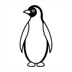 penguin vector illustration
