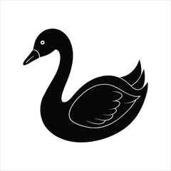 black swan vector illustration