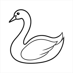 black swan vector illustration