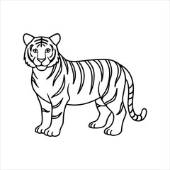 tiger vector illustration