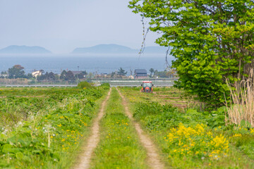 Fototapete bei efototapeten.de bestellen   