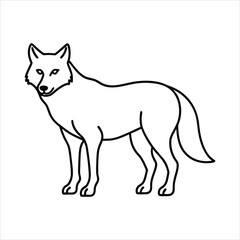 vector illustration of a Wolf
