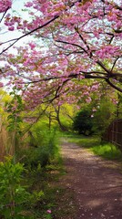 Cherry Blossom Pathway - Tranquil Scenic Spring Journey in Vibrant Nature