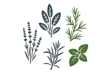 Fototapeta premium set of plants