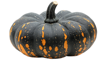 Black pumpkin with orange speckles on a white isolated background, perfect for seasonal decor.