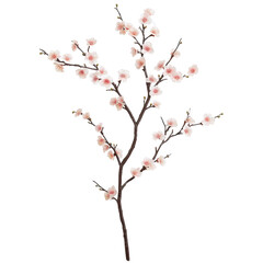 A delicate cherry blossom branch with soft pink flowers, set against a clean white background, symbolizing spring and renewal, ideal for nature-themed designs and seasonal decorations