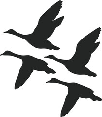 Obraz premium Silhouettes of flying ducks in formation, black vector illustration for wildlife, birdwatching, and nature designs 