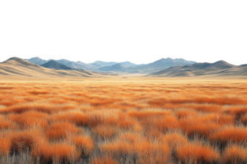 Vast fields of golden grass under a clear blue sky with distant mountains, capturing the beauty of nature's landscape.