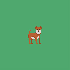 Obraz premium Pixelated dog icon logo flat vector design