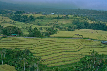 Bird&rsquo;s-Eye View of Jatiluwih Rice Terraces in Bali, Indonesia