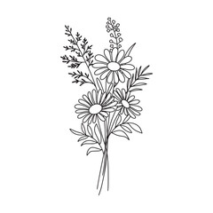 Wildflower bouquet vector. Flower bouquet. Hand drawn flower, wild plant, botanical vector illustration	