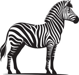 a zebra vector