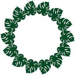 Obraz premium Monstera deliciosa clipart set with tropical patterns, circular and square borders. Great for digital design, prints, and botanical decor, plant.