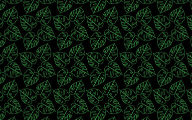 Monstera deliciosa clipart set with tropical patterns, circular and square borders. Great for digital design, prints, and botanical decor, plant.