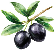 Olives on a branch art on transparent background