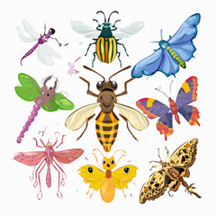Large set of different insects set vector