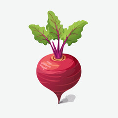 Perfect Vector Illustration of Beetroot — Fresh Organic Vegetable Icon for Food and Healthy Design