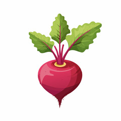 Perfect Vector Illustration of Beetroot — Fresh Organic Vegetable Icon for Food and Healthy Design