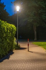 Obraz premium Street lamp illuminating a paved path at dusk in a residential area