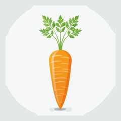 Perfect Vector Illustration of Carrot — Fresh Vegetable Icon for Food, Health, and Organic Design Themes