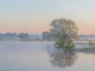 morning mist over the river
