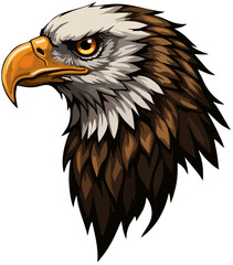 Focus on beak and eye, side profile eagle in bold vector lines