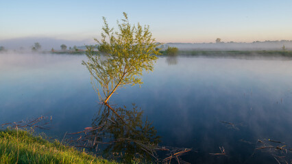 fog on the river