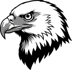 Eagle Head in Minimal Negative Space Line Design
