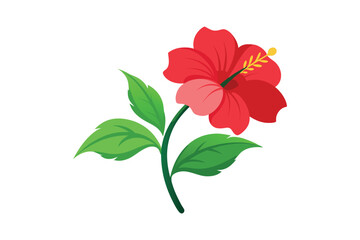 Fototapeta premium Red hibiscus flower isolated on white background