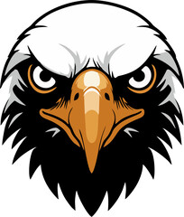 Eagle Head Front View with Glare Eyes Vector