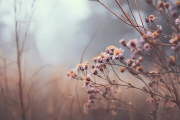 Misty Meadow: Delicate Pink Flowers in a Soft, Dreamy Landscape
