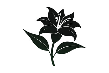 lily silhouette flower isolated on white background