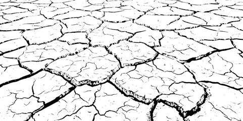 Vector background. Desert backdrop.The cracks texture white and black.Cracks in dry surface soil texture	
